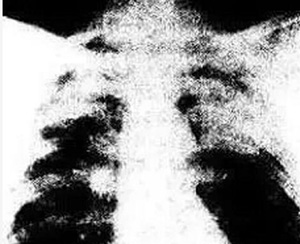 늺������I�������m�β�